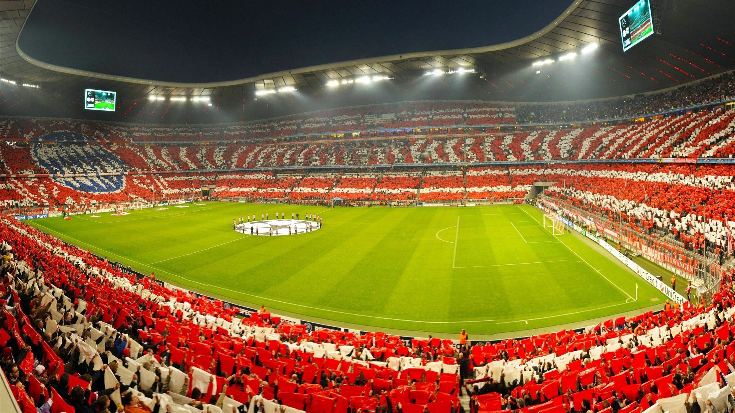 女子项目全面开花 金牌收割进行时